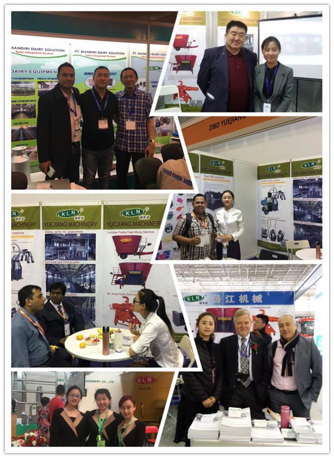 24-100 포인트 헤링본 착유 팔러 자동 암소 기계 시스템 11