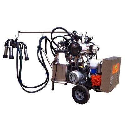 0.75KW 젖소 밀킹 머신
