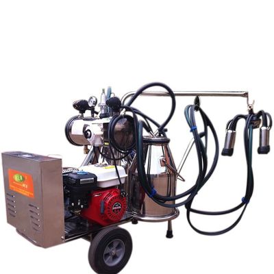 0.75KW 젖소 밀킹 머신