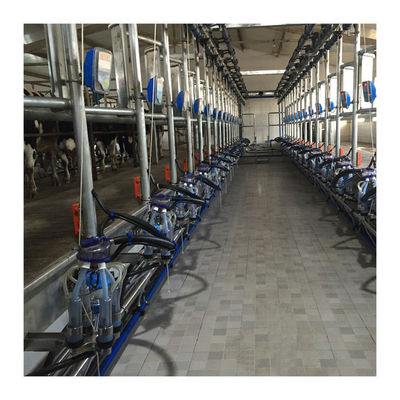 낙농 농장을 위한 진공 50KPa 2.2 kw 헤링본 무늬 밀킹 머신으로 일하기