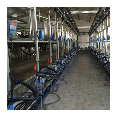 낙농 농장을 위한 진공 50KPa 2.2 kw 헤링본 무늬 밀킹 머신으로 일하기