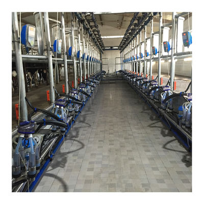 낙농 농장을 위한 진공 50KPa 2.2 kw 헤링본 무늬 밀킹 머신으로 일하기