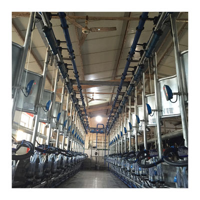낙농 농장을 위한 진공 50KPa 2.2 kw 헤링본 무늬 밀킹 머신으로 일하기