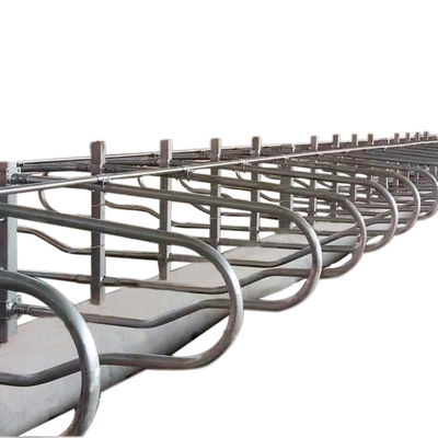 Head to head Type 1.30m/cow Fence Cattle Free Stall Adjustable Size