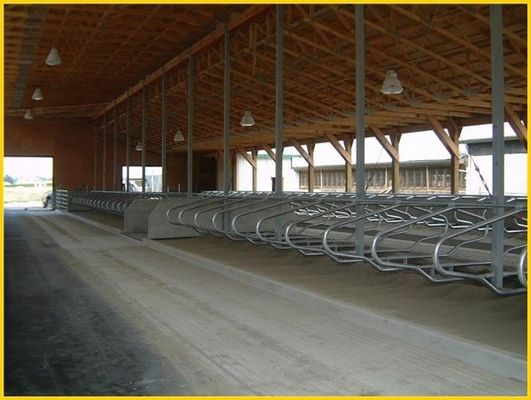 Head to head Type 1.30m/cow Fence Cattle Free Stall Adjustable Size