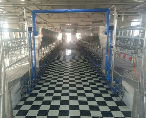 시간 당 11 kw 진공 3800L 대비 거실 착유 시스템 128 젖소들