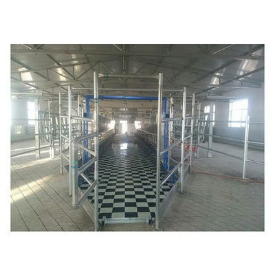 시간 당 11 kw 진공 3800L 대비 거실 착유 시스템 128 젖소들
