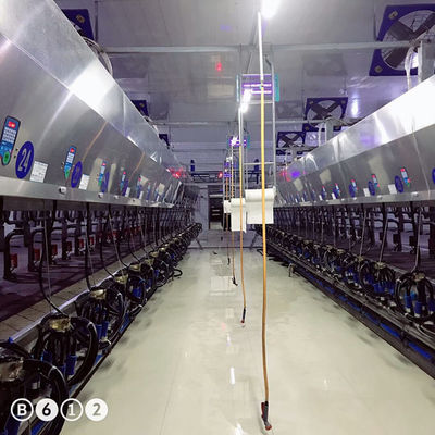 시간 당 11 kw 진공 3800L 대비 거실 착유 시스템 128 젖소들